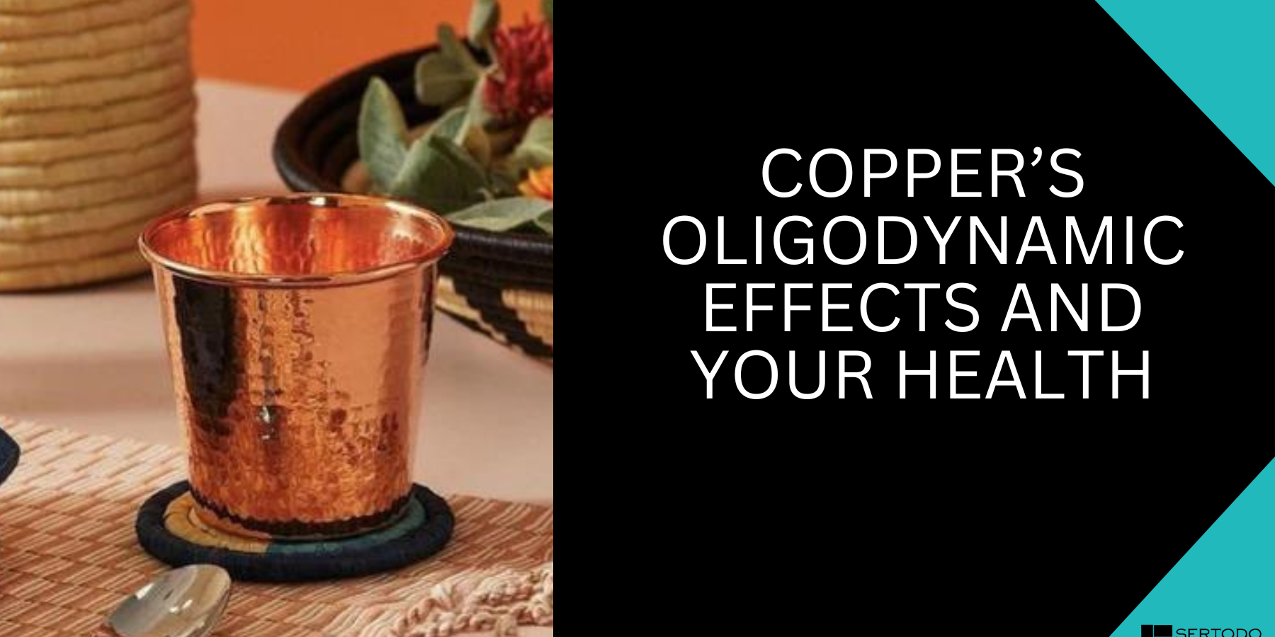 Copper oligodynamic effects and health