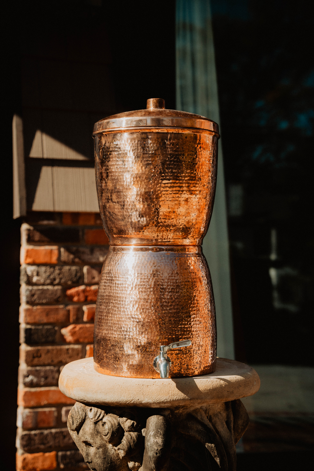 Sana Vida Fluoride Water Filtration Systems
