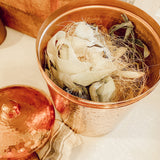 Copper Kitchen Compost Bin (Canisters)